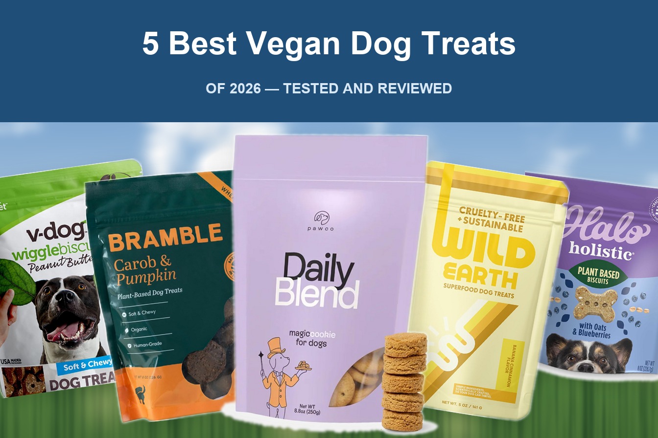 Best Vegan Dog Treats of 2026 (Tested and Reviewed)